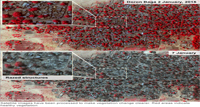 Nigerias Boko Haram Baga destruction shown in images Nigerias Boko Haram Baga destruction shown in images