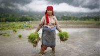 Women will suffer the worst effects of climate change Women will suffer the worst effects of climate change