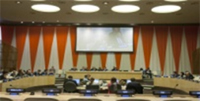 Addressing Economic and Social Council Addressing Economic and Social Council
