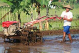 China and the Food and Agriculture Organisation China and the Food and Agriculture Organisation