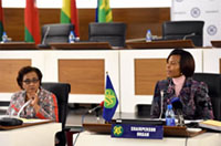 Closing Remarks by the Minister of International Relations Closing Remarks by the Minister of International Relations