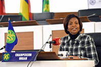 Opening Remarks by the Minister of International Relations and Cooperation Opening Remarks by the Minister of International Relations and Cooperation
