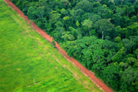 The Global South Will Make Its Contribution The Global South Will Make Its Contribution