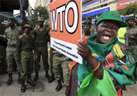 The Deathbed of the WTO The Deathbed of the WTO