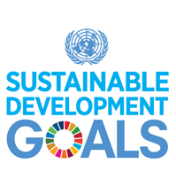 Global governance and the role of multinational companies in achieving the Sustainable Development Goals Global governance and the role of multinational companies in achieving the Sustainable Development Goals