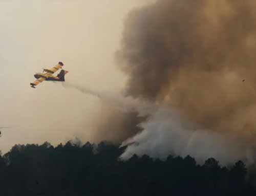 Wildfires in France and Spain Reignite Climate Change Talks