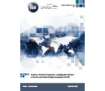 Building Asia-Africa Cooperation: Analysing the relevance of the New Asia-Africa Strategic Partnership (NAASP)