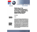 Reflecting on the Johannesburg Summit of the Forum on China-Africa Cooperation (FOCAC): Where to from here?